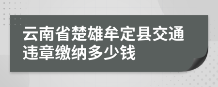 云南省楚雄牟定县交通违章缴纳多少钱