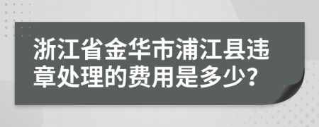 浙江省金华市浦江县违章处理的费用是多少？