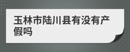 玉林市陆川县有没有产假吗