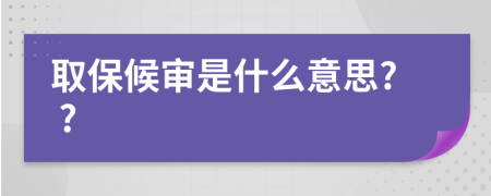 取保候审是什么意思? ?