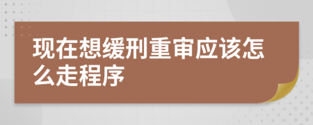 现在想缓刑重审应该怎么走程序