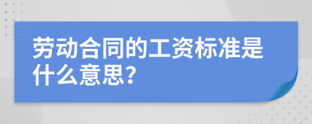 劳动合同的工资标准是什么意思？