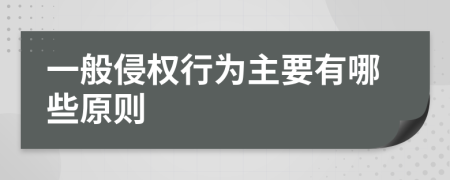 一般侵权行为主要有哪些原则