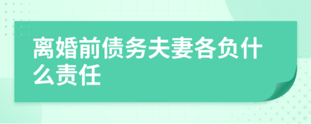 离婚前债务夫妻各负什么责任