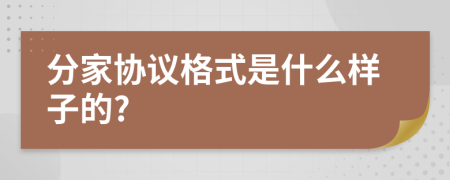 分家协议格式是什么样子的?