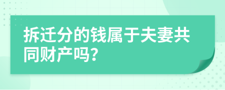 拆迁分的钱属于夫妻共同财产吗？
