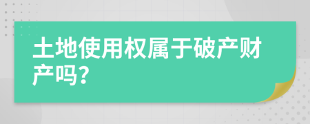 土地使用权属于破产财产吗？