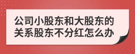 公司小股东和大股东的关系股东不分红怎么办