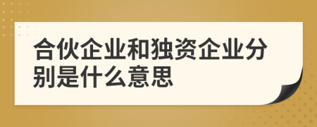 合伙企业和独资企业分别是什么意思