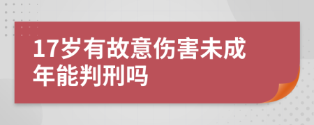 17岁有故意伤害未成年能判刑吗