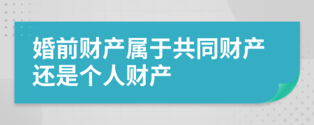 婚前财产属于共同财产还是个人财产