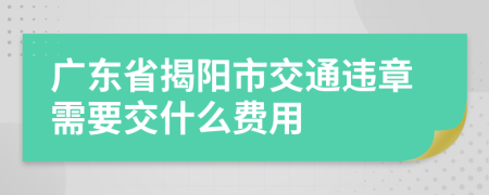 广东省揭阳市交通违章需要交什么费用
