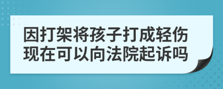 因打架将孩子打成轻伤现在可以向法院起诉吗