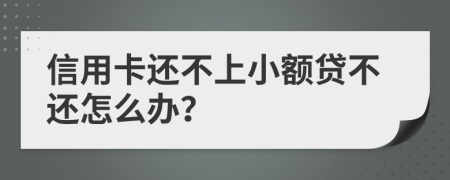 信用卡还不上小额贷不还怎么办？