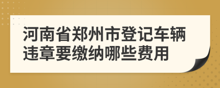 河南省郑州市登记车辆违章要缴纳哪些费用