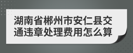 湖南省郴州市安仁县交通违章处理费用怎么算