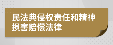 民法典侵权责任和精神损害赔偿法律