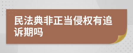 民法典非正当侵权有追诉期吗