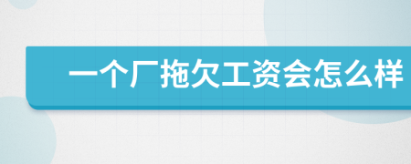 一个厂拖欠工资会怎么样