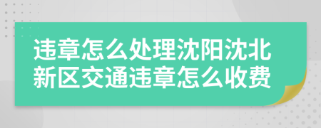 违章怎么处理沈阳沈北新区交通违章怎么收费