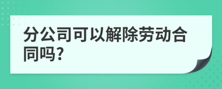 分公司可以解除劳动合同吗?