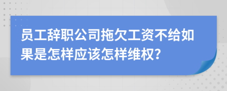 员工辞职公司拖欠工资不给如果是怎样应该怎样维权？