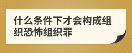 什么条件下才会构成组织恐怖组织罪