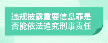 违规披露重要信息罪是否能依法追究刑事责任