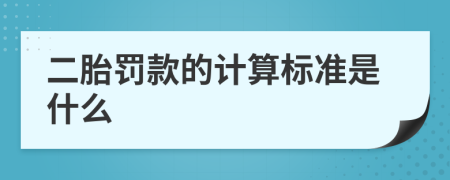 二胎罚款的计算标准是什么