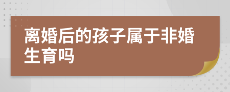 离婚后的孩子属于非婚生育吗