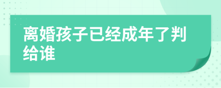 离婚孩子已经成年了判给谁