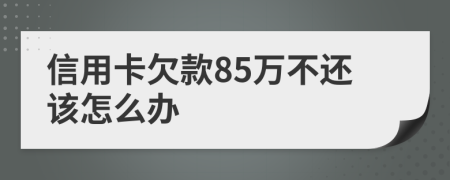 信用卡欠款85万不还该怎么办