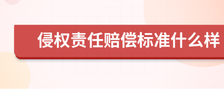 侵权责任赔偿标准什么样