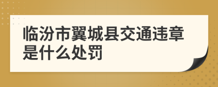 临汾市翼城县交通违章是什么处罚