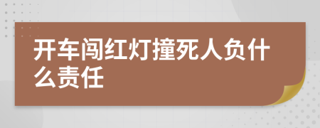 开车闯红灯撞死人负什么责任