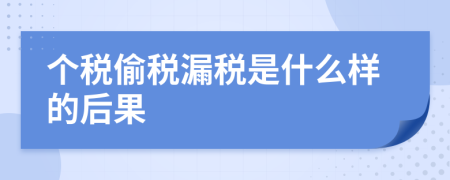 个税偷税漏税是什么样的后果