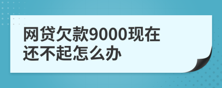 网贷欠款9000现在还不起怎么办