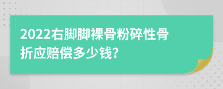 2022右脚脚裸骨粉碎性骨折应赔偿多少钱？