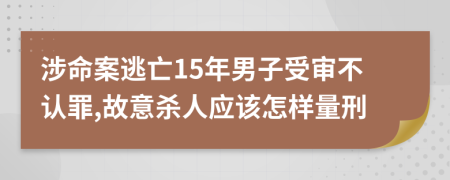 涉命案逃亡15年男子受审不认罪,故意杀人应该怎样量刑