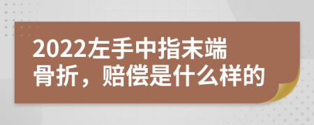 2022左手中指末端骨折，赔偿是什么样的