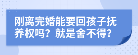 刚离完婚能要回孩子抚养权吗？就是舍不得？