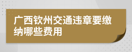 广西钦州交通违章要缴纳哪些费用