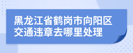 黑龙江省鹤岗市向阳区交通违章去哪里处理