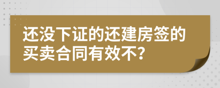 还没下证的还建房签的买卖合同有效不？