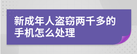 新成年人盗窃两千多的手机怎么处理