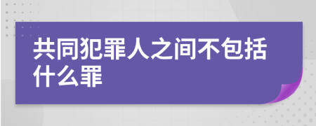 共同犯罪人之间不包括什么罪