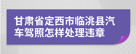 甘肃省定西市临洮县汽车驾照怎样处理违章