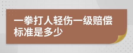 一拳打人轻伤一级赔偿标准是多少