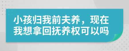 小孩归我前夫养，现在我想拿回抚养权可以吗