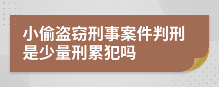 小偷盗窃刑事案件判刑是少量刑累犯吗